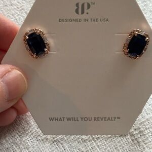 NIB Bomb Party September 2024 earrings